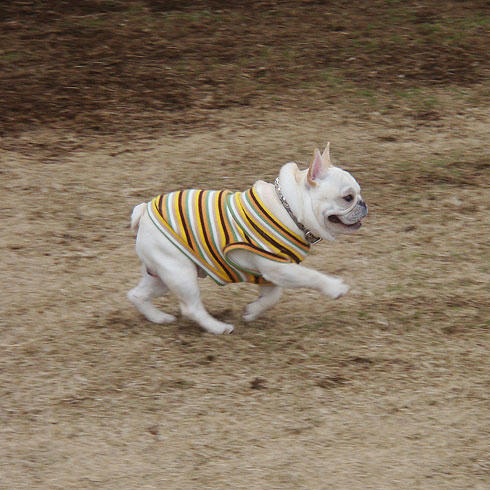 20080204_1.jpg