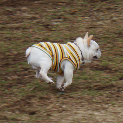 20080204_2.jpg