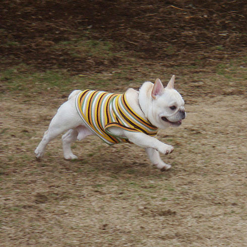 20080204_3.jpg
