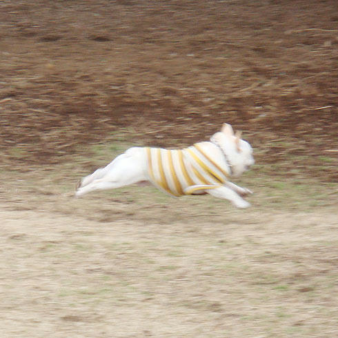 20080204_4.jpg