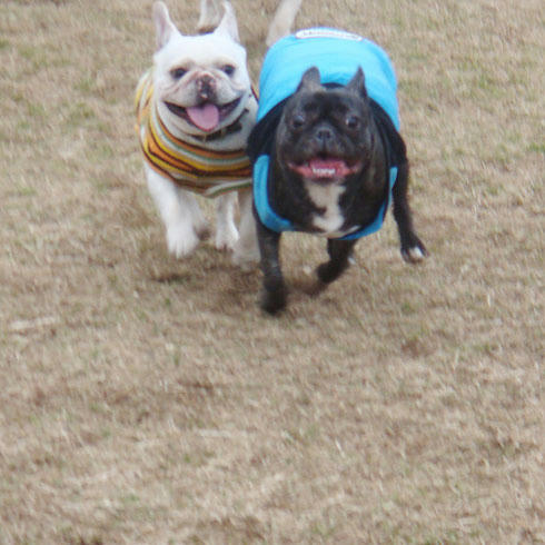 20080204_8.jpg
