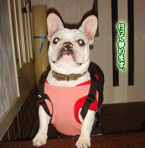 20080206_3.jpg