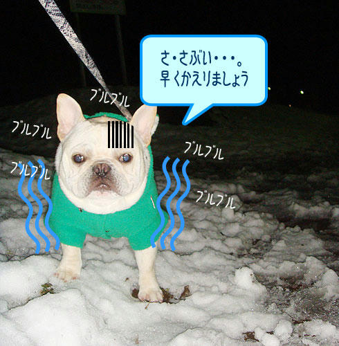 20080207_2.jpg