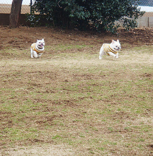 20080208_1.jpg