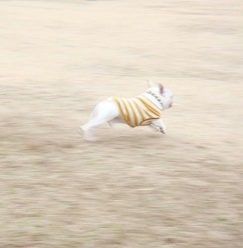 20080208_6.jpg