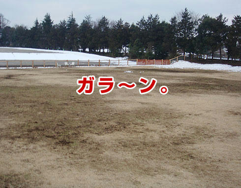 20080212_1.jpg