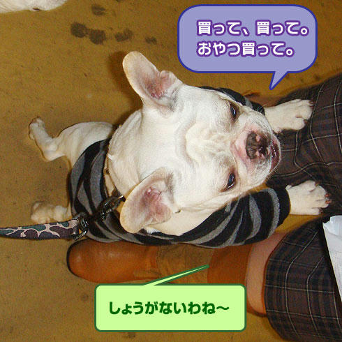 20080212_4.jpg