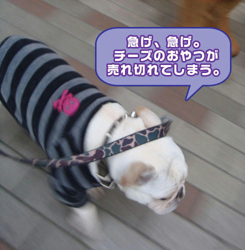 20080212_5.jpg