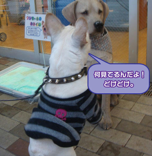 20080212_6.jpg