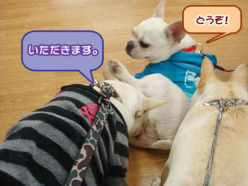 20080212_7.jpg