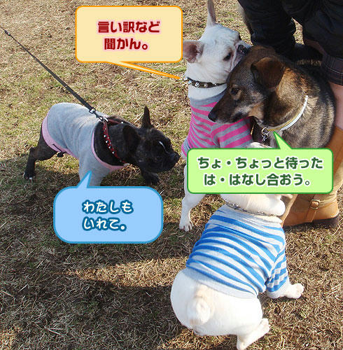 20080214_4.jpg