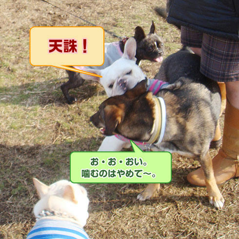 20080214_5.jpg