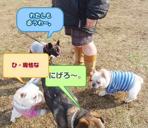 20080214_7.jpg
