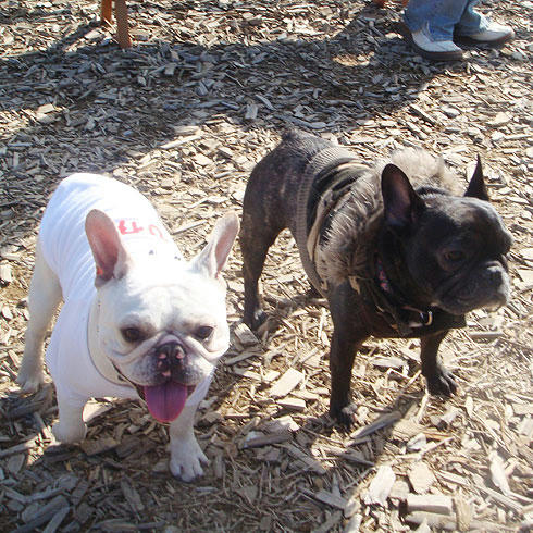 20080218_4.jpg