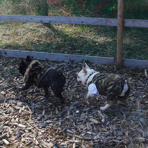 20080218_8.jpg