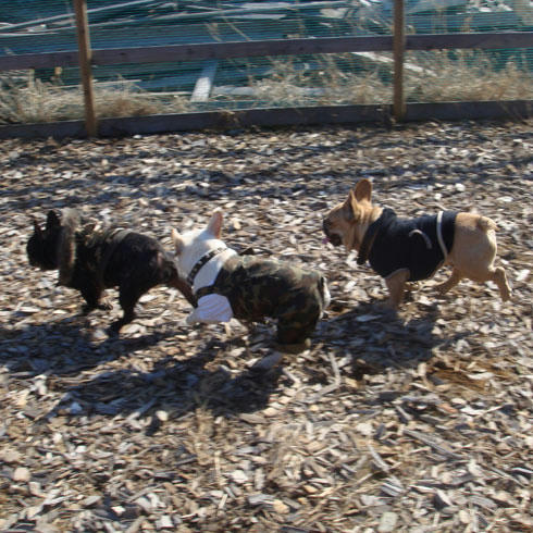20080218_9.jpg