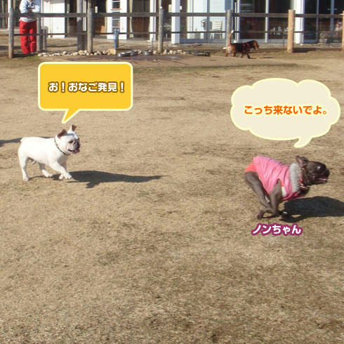 20080219_1.jpg