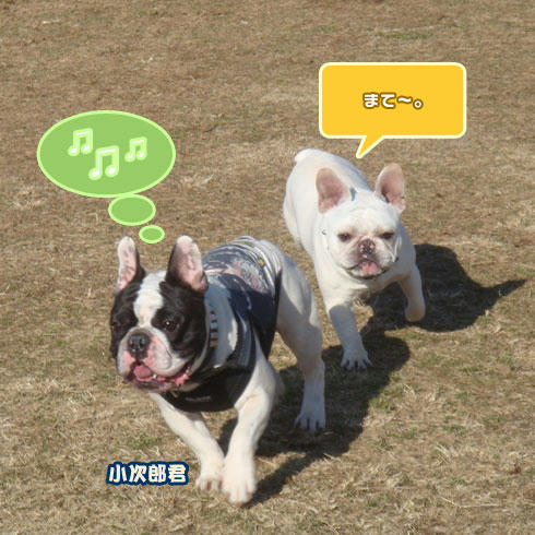 20080219_4.jpg