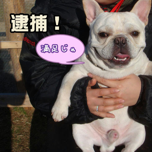 20080219_9.jpg