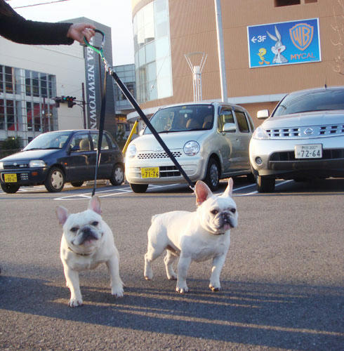 20080220_1.jpg