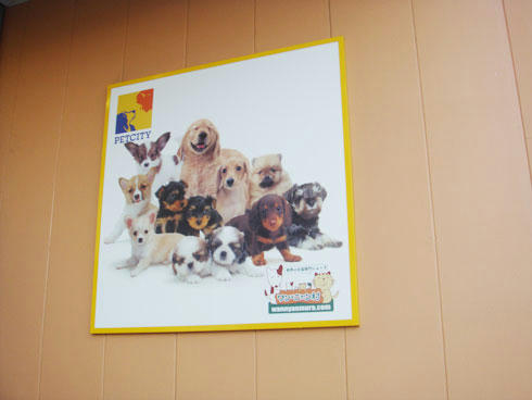 20080220_3.jpg
