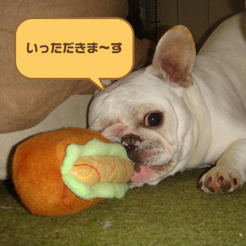 20080222_1.jpg