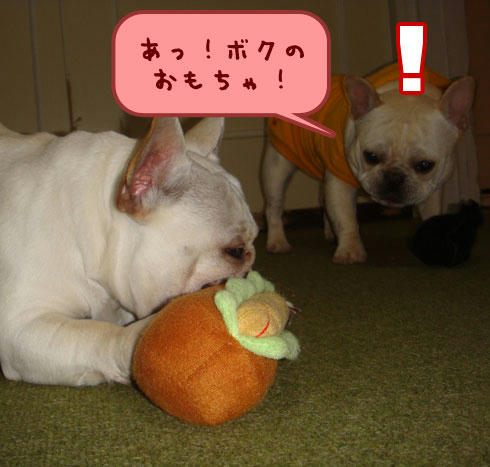 20080222_2.jpg