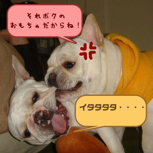 20080222_4.jpg