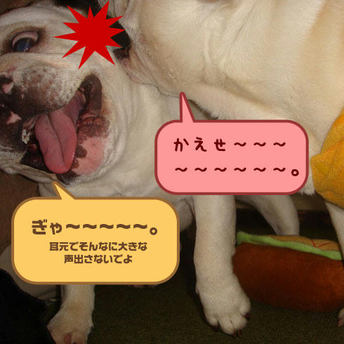 20080222_5.jpg