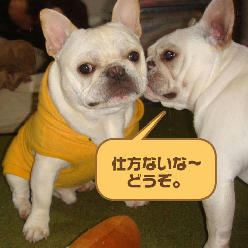 20080222_6.jpg
