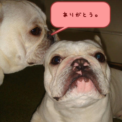 20080222_7.jpg