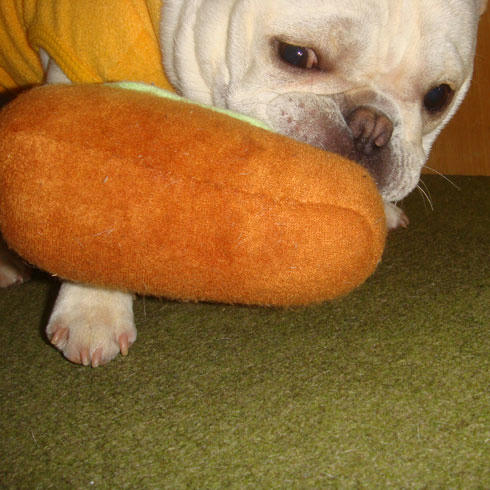 20080222_8.jpg