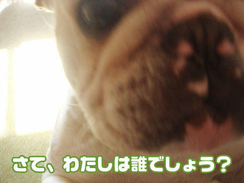 20080225_0.jpg