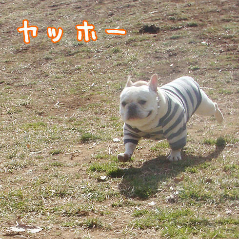20080225_3.jpg