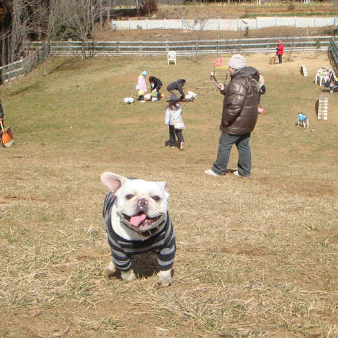 20080225_4.jpg