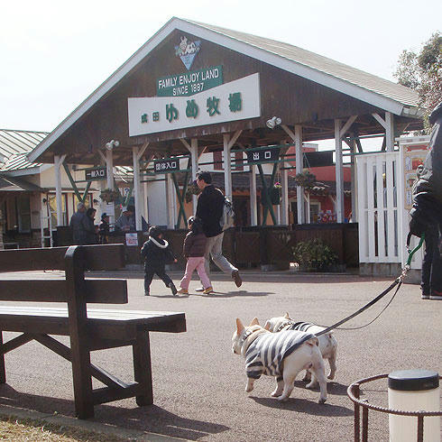 20080225_2.jpg