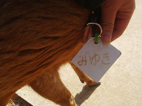 20080226_8.jpg