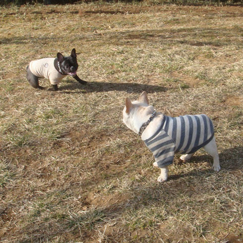 20080227_1.jpg