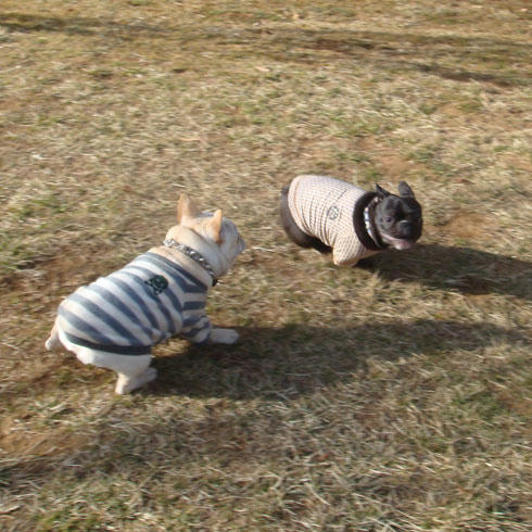 20080227_2.jpg