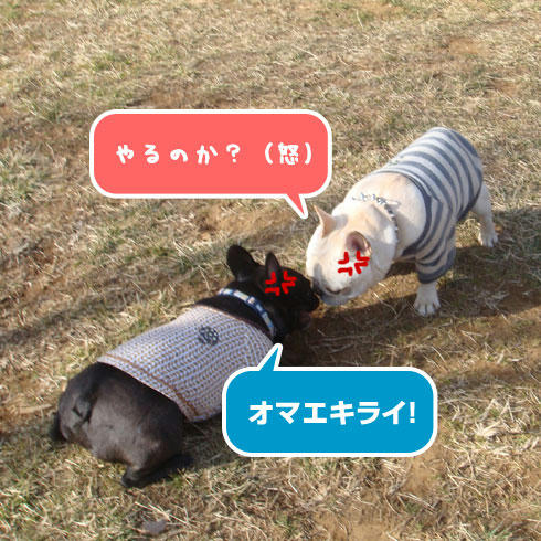 20080227_3.jpg