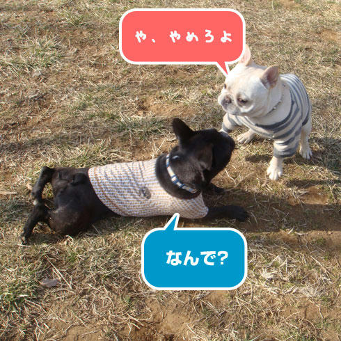 20080227_5.jpg