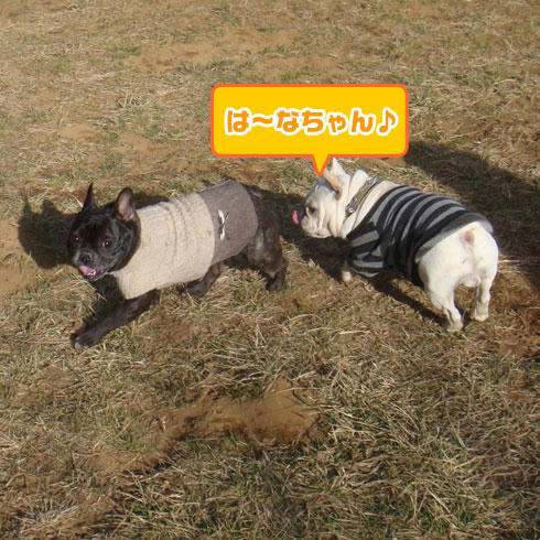 20080227_7.jpg