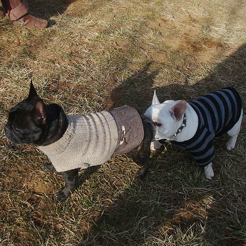 20080227_9.jpg