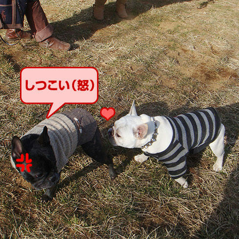 20080227_10.jpg