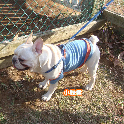20080227_11.jpg