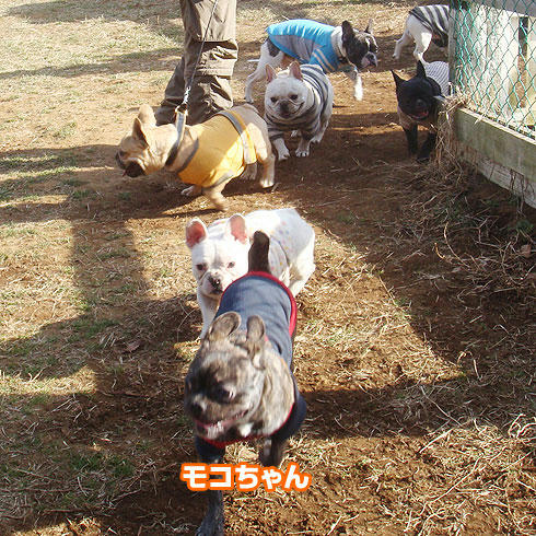 20080227_12.jpg
