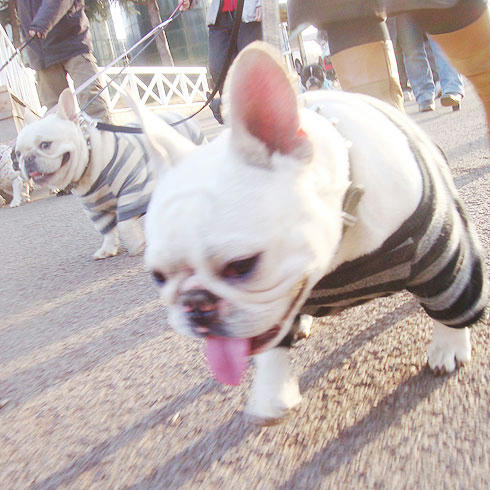 20080227_13.jpg
