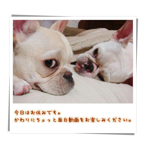 20080229_1.jpg