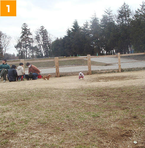 20080303_2.jpg