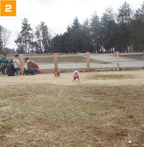 20080303_3.jpg